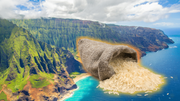 Japanese tourists bringing rice to Hawaii