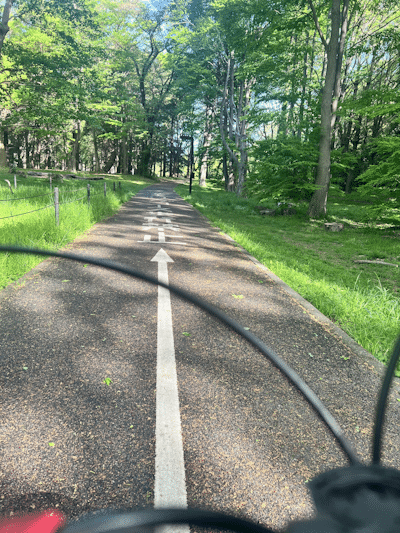 The bike trail in Yoyogi Park