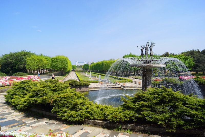 Showa Memorial Park