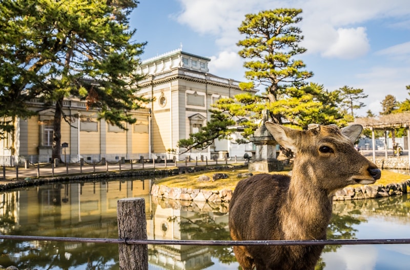 Nara Prefectural Museum, Nara