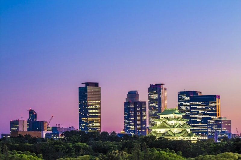 Nagoya castle at night