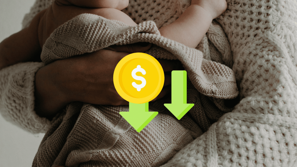 Free childbirth proposal in Japan