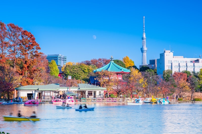Ueno Park boat rides