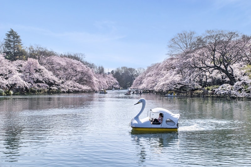 Inokashira Pond, Inokashira Park, Kichijoji, Tokyo
