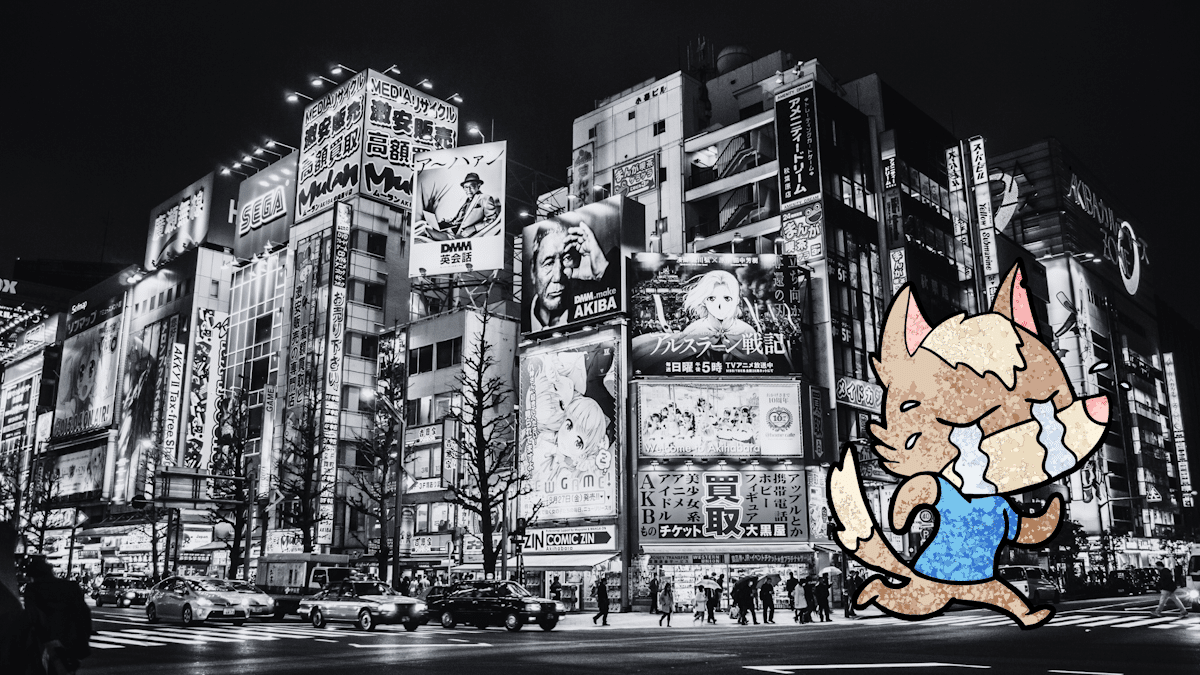 Akihabara Flight