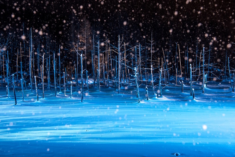 Biei Shirokane Blue Pond light-up event