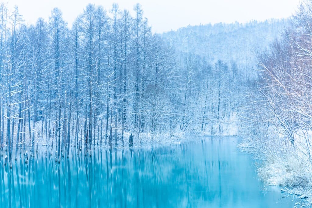 Blue Pond, Shirokane, Biei, Hokkaido
