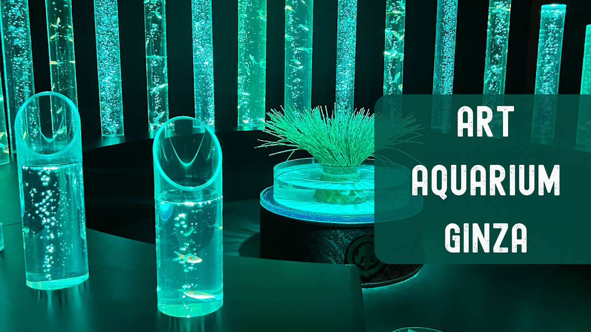 Art Aquarium Museum Ginza