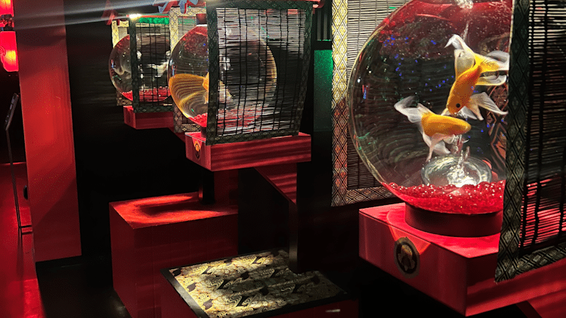 Aquarium fish bowls - Ginza