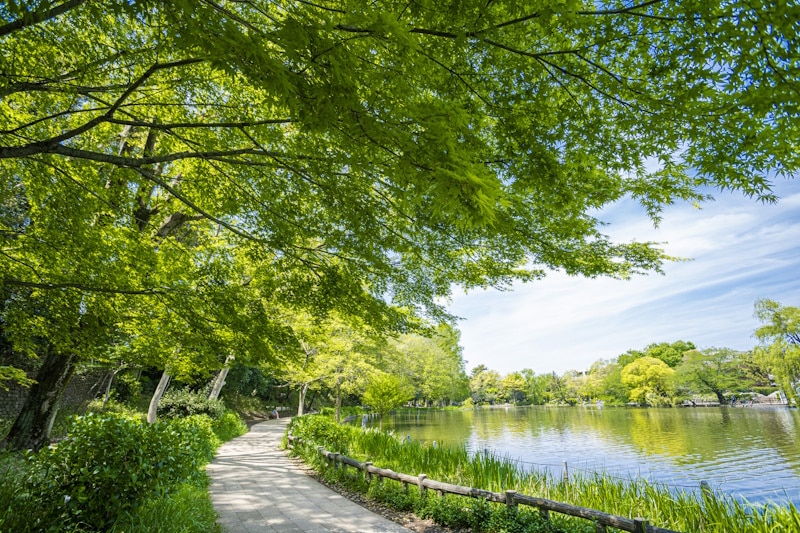 Shakujii Park, Nerima City