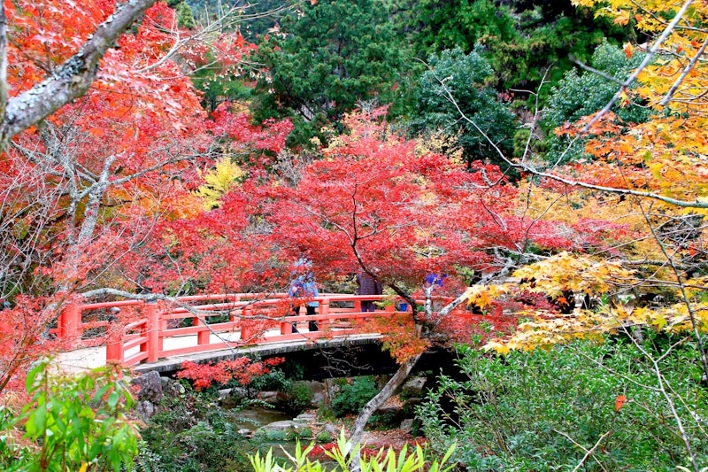 Momijidani Park on Miyajima Island, Hiroshima