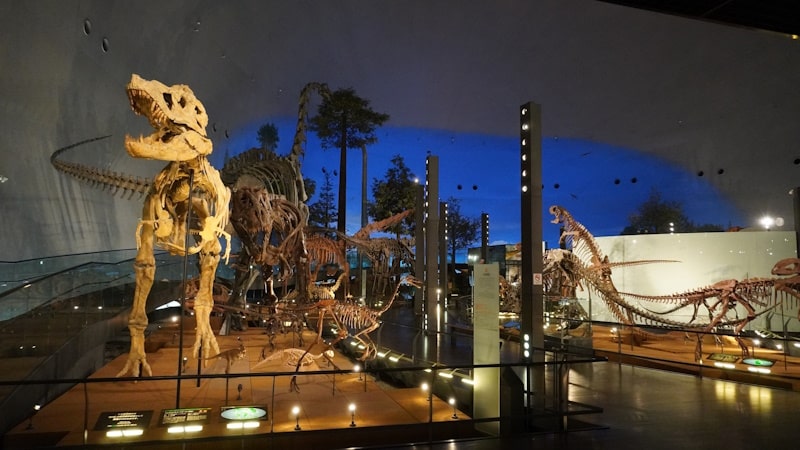 Fukui Prefectural Dinosaur Museum in Katsuyama