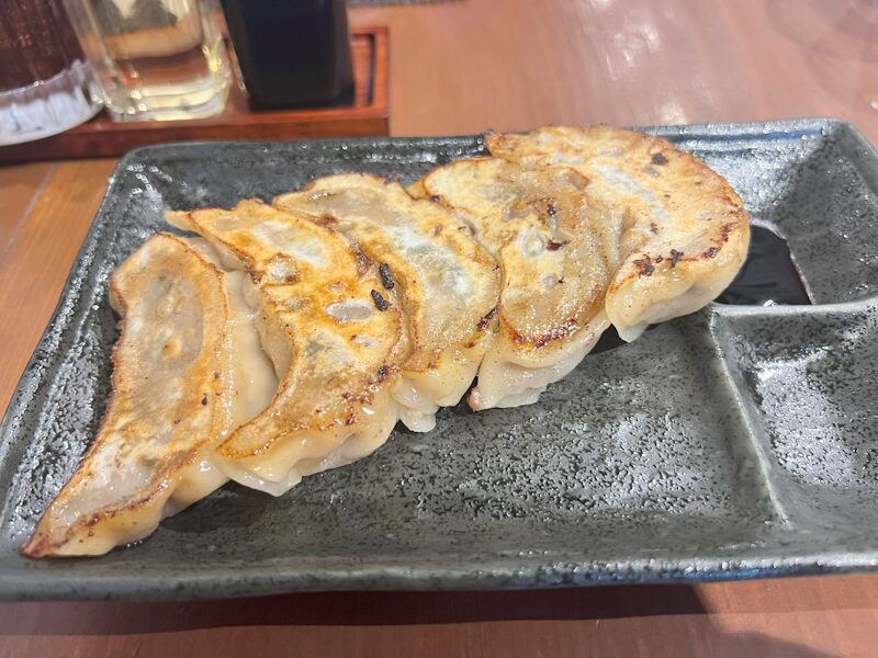 Yoshi wagy beef gyoza