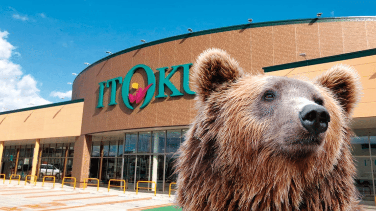 Bear invades Itoku supermarket in Akita
