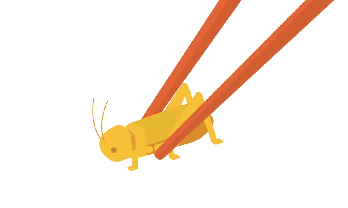 Cricket held by chopsticks