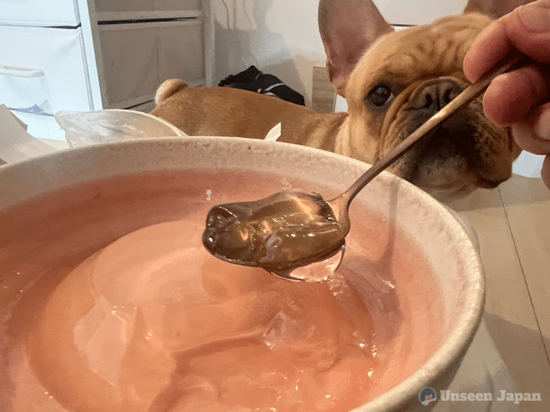 Pumpkin offers to taste test the Lawson transparent flan