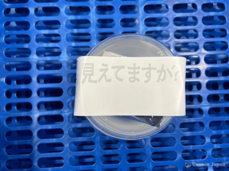 Transparent Flan from Lawson
