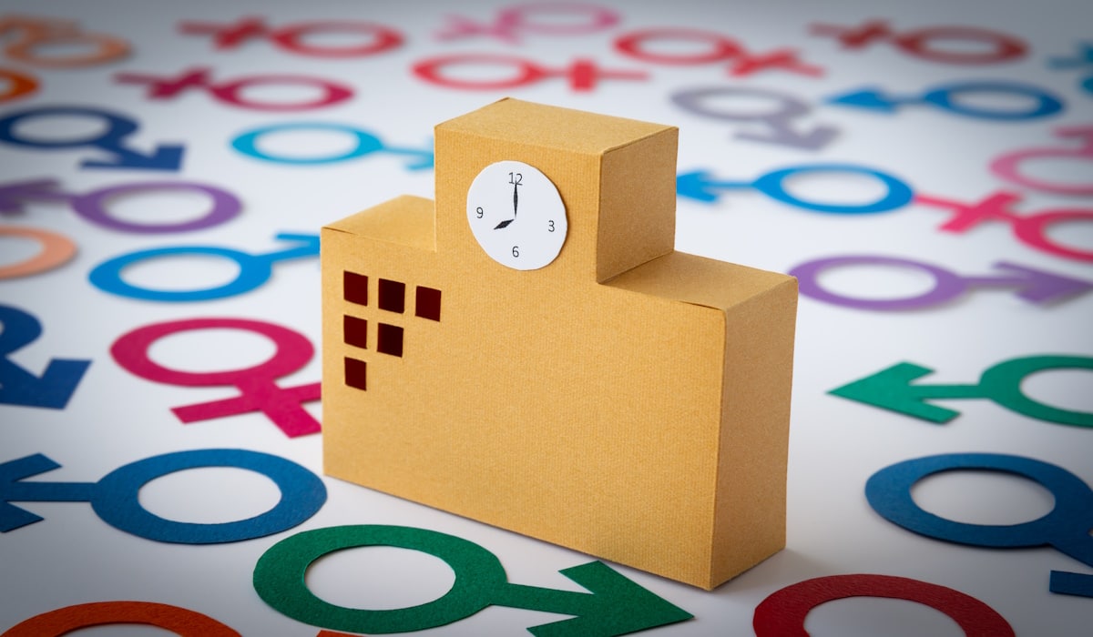 Model of a school with gender symbols laying around it