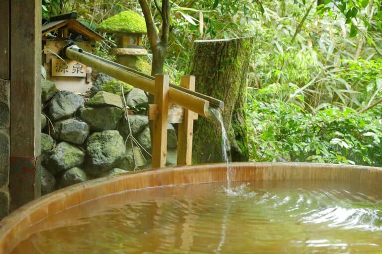 Hakone Hot Springs