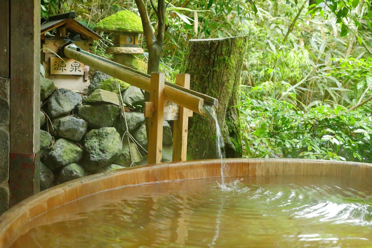 Hakone Hot Springs