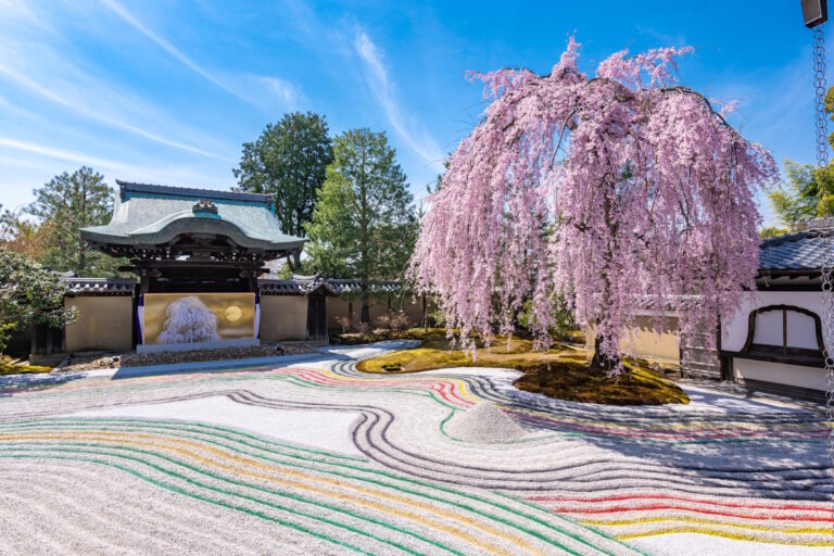 Kodaiji - picture of temple building on the left, beautiful pink tree on the right, and raked stones with colored stripes in the foreground