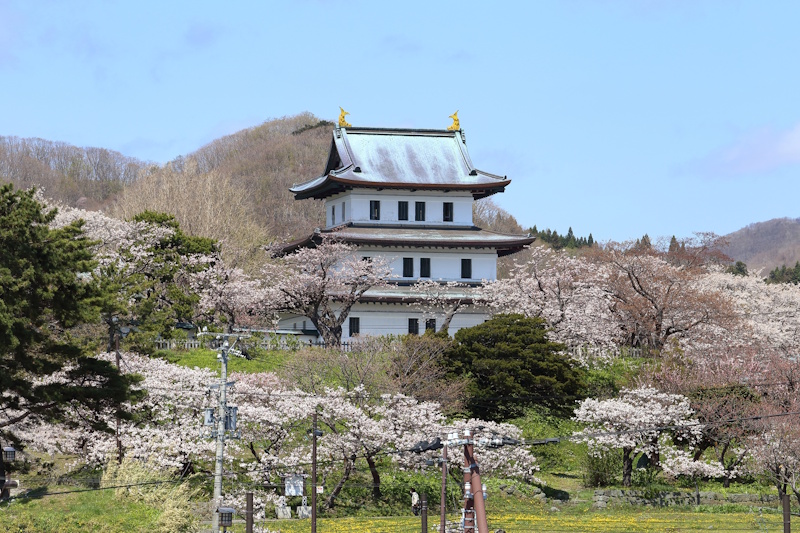 Matsumae Castle mound at cherry blossom season