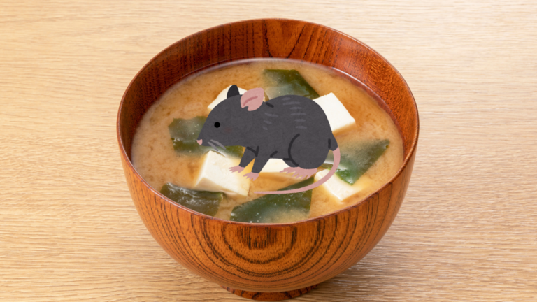 Mouse Miso - picture of a bowl of miso soup with a drawing of a mouse overlaid on it