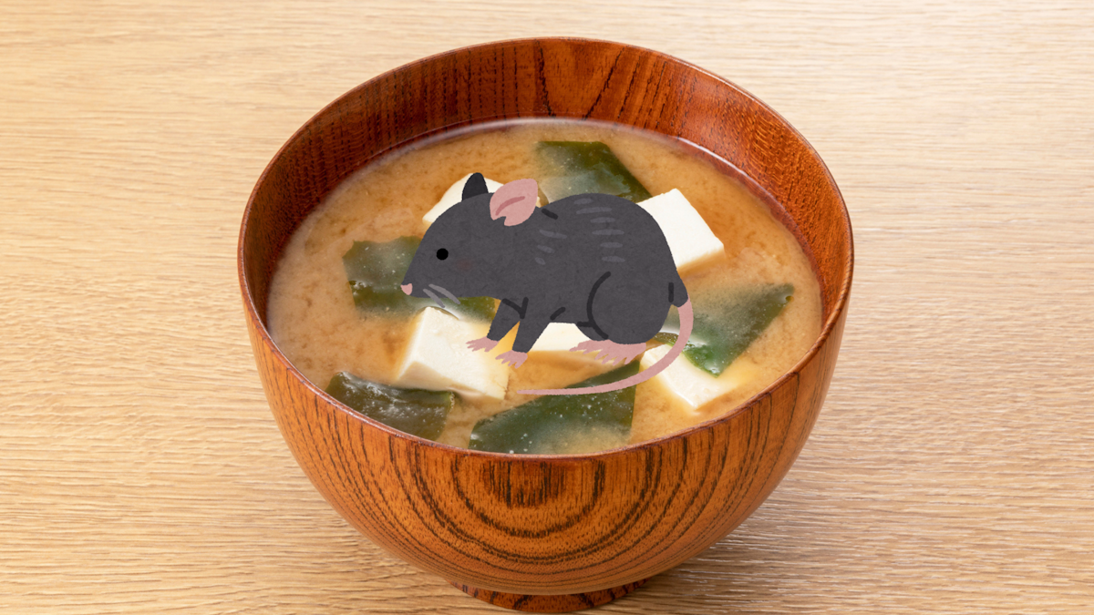 Mouse Miso - picture of a bowl of miso soup with a drawing of a mouse overlaid on it