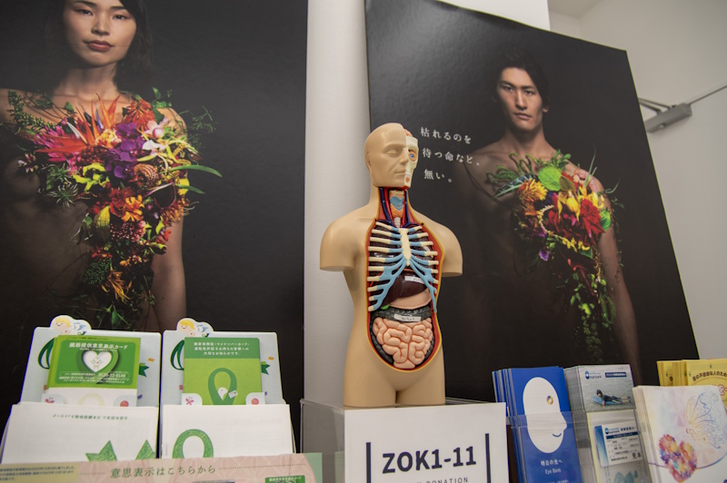 Booth area for Zok1-11 on organ donation, featuring a human anatomy dummy and a poster that reads, "There is no life we can wait to expire" 