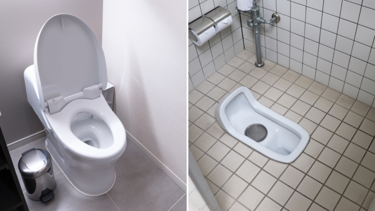 Bidet-style toilet on left, squat toilet on right