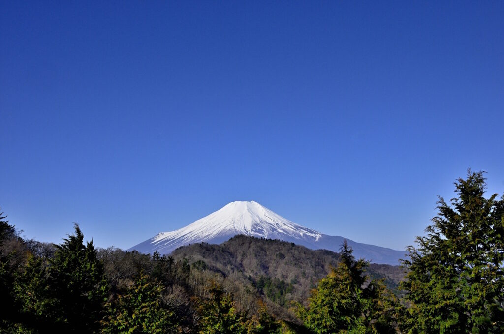 Mt. Fuji seen from a distance