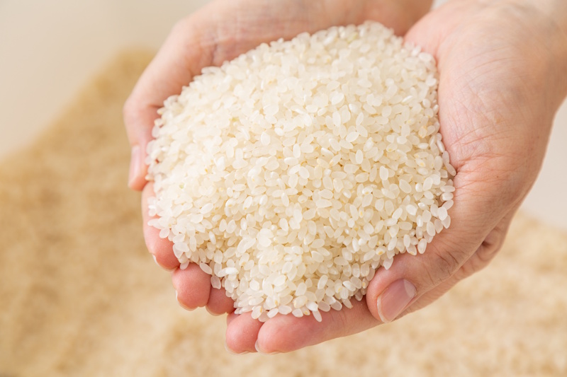 Rice held in someone's cupped hands