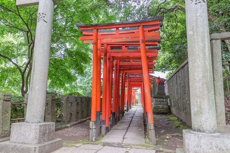 Nezu Shrine's torii gates