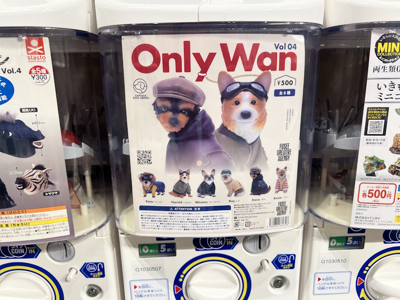 Many gacha are playful in nature. "Only Wan" plays on the phrase "only one" and wan," a word for dogs based on the onomatopoeia of barking. 