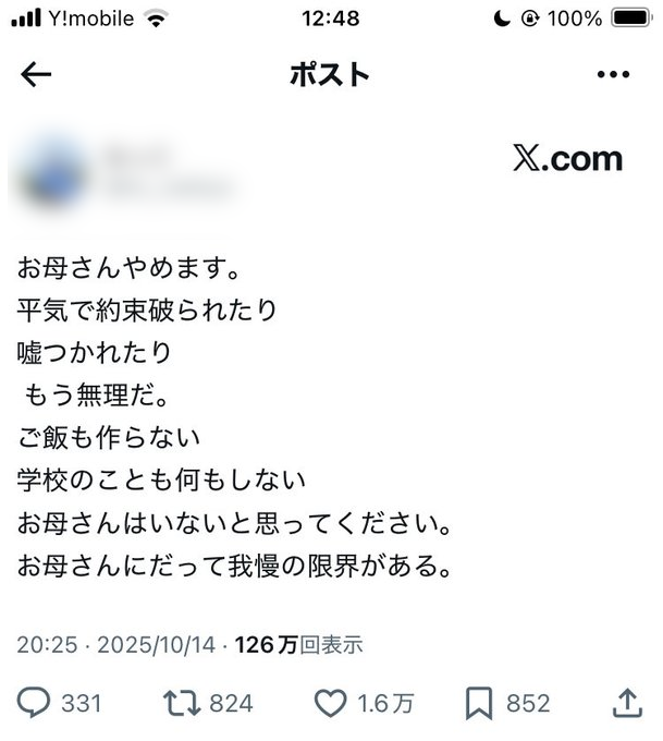 X post from woman who quit motherhood