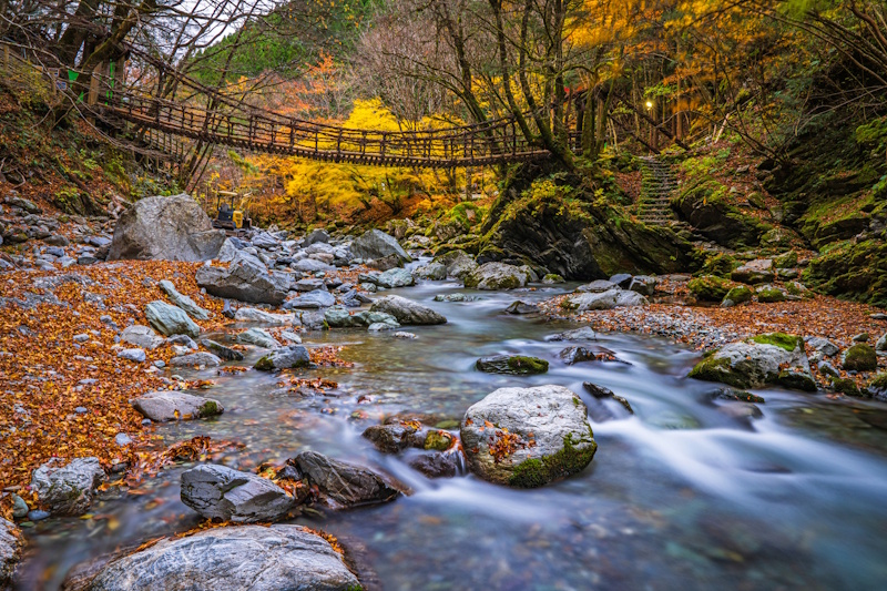 Autumn view of a traditional vine bridge in Iya Valley, Tokushima, spanning a clear mountain stream.