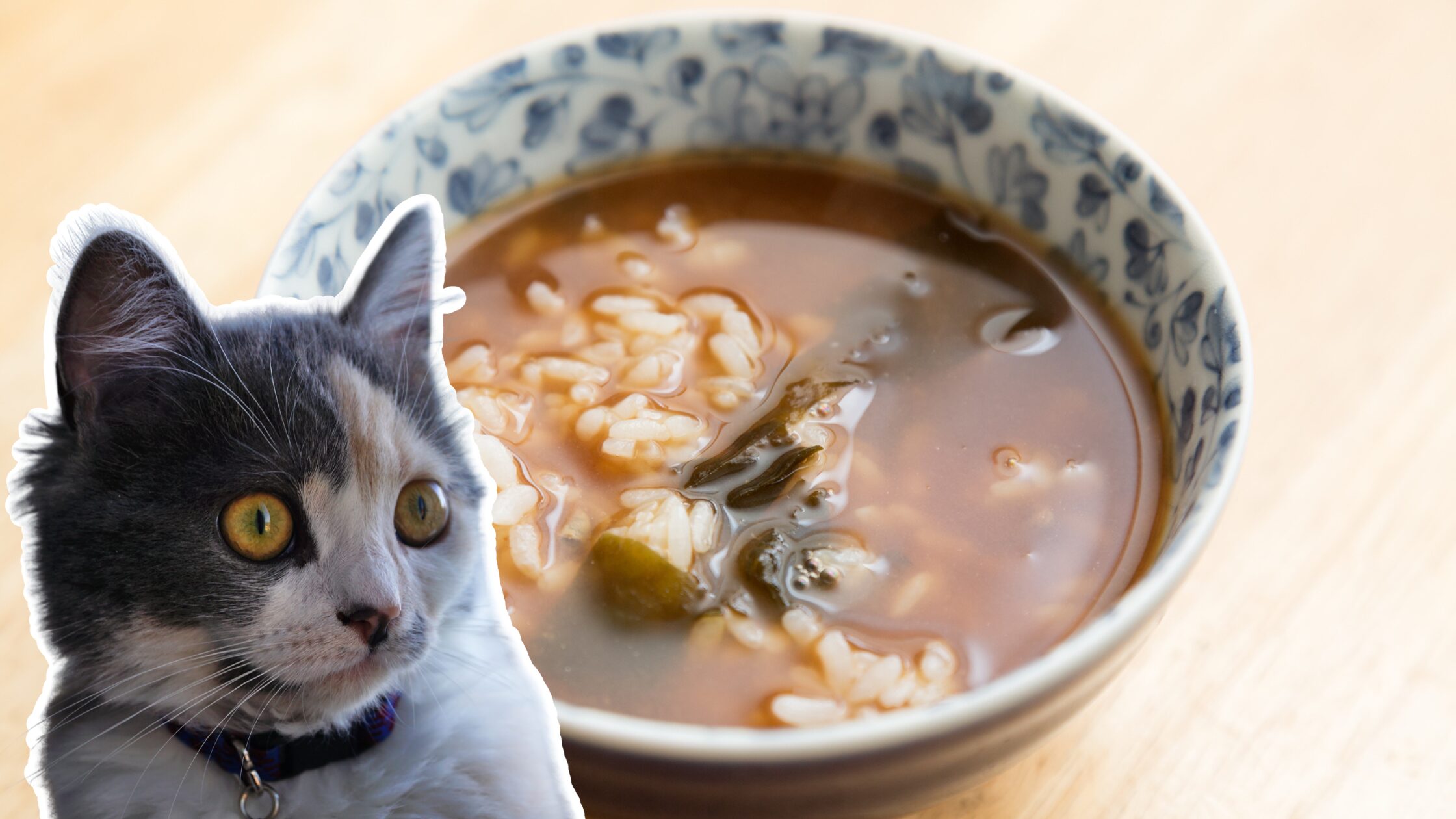Nekomanma: The “Ill-Mannered” Japanese Food That Used to be a Commonfolk Staple