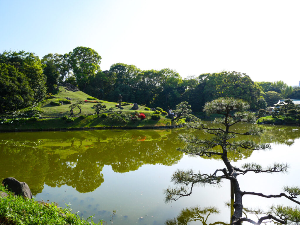 Kiyosumi Garden's central pond reflecting a grassy hill and manicured pine trees under a clear sky