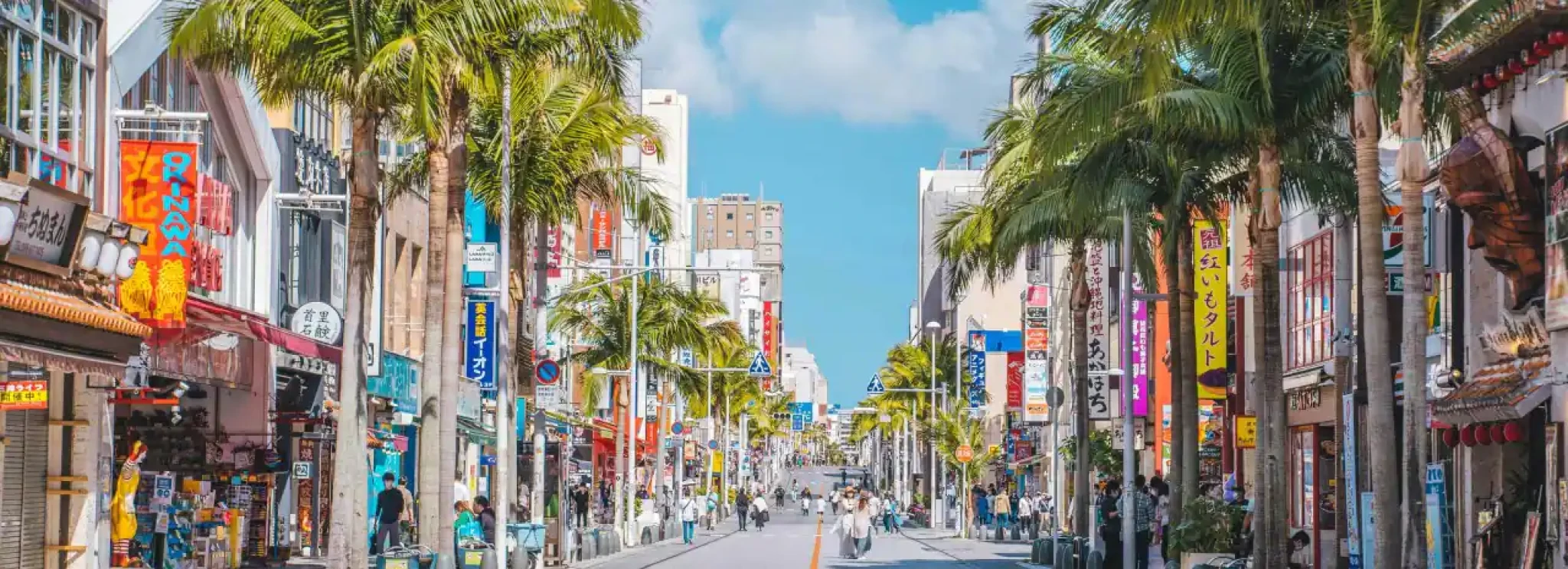 Palm-lined Kokusai Street in Naha with colorful shop signs