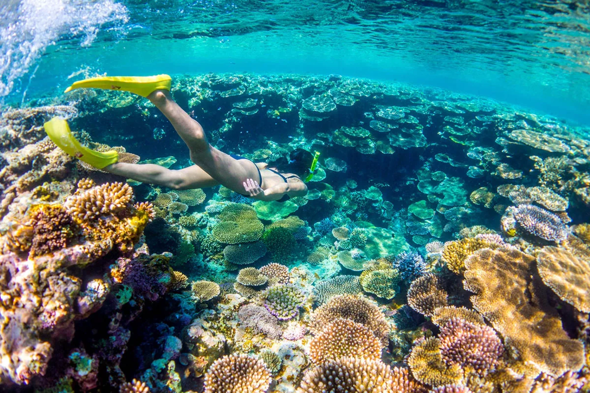 Snorkeler gliding over a vibrant coral reef in clear Okinawan waters