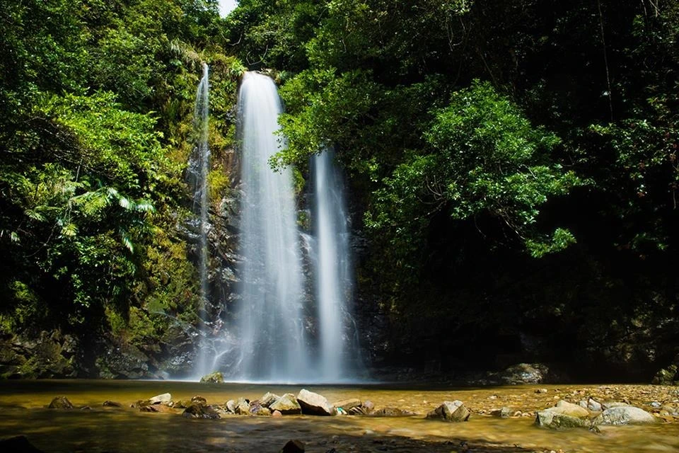 Waterfall cascading into a pool surrounded by dense subtropical forest in Yanbaru