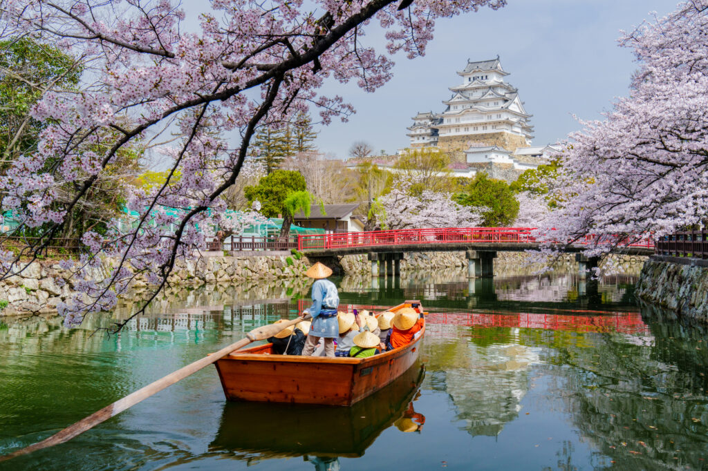 Himeji Castle behind cherry blossoms with a tour boat on the moat.