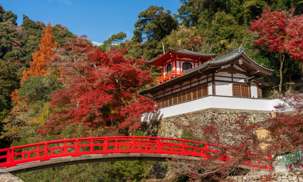 Vermilion Zuiun Bridge and a white temple hall at Ryuanji amid autumn foliage