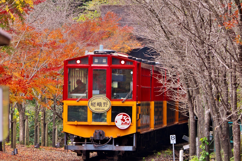 The Sagano Romantic Train in the fall