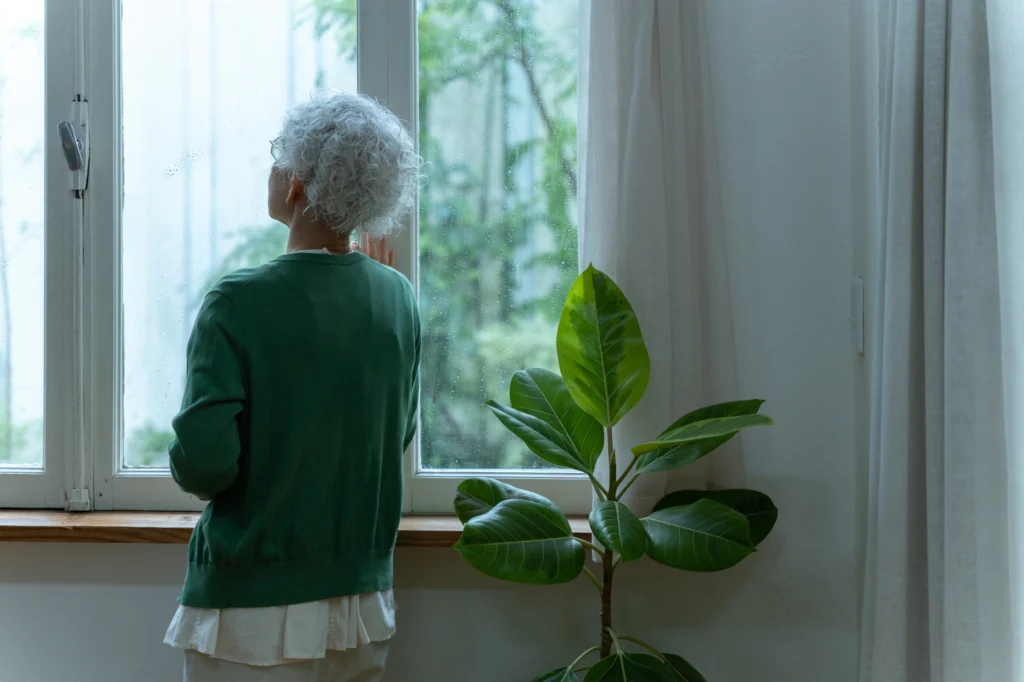 An elderly woman stands with her back turned, looking out a rain-streaked window beside a potted plant