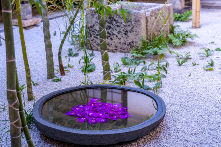 Purple orchid blossoms floating in a round stone water basin in a raked-gravel Japanese garden with bamboo at Seiraiin