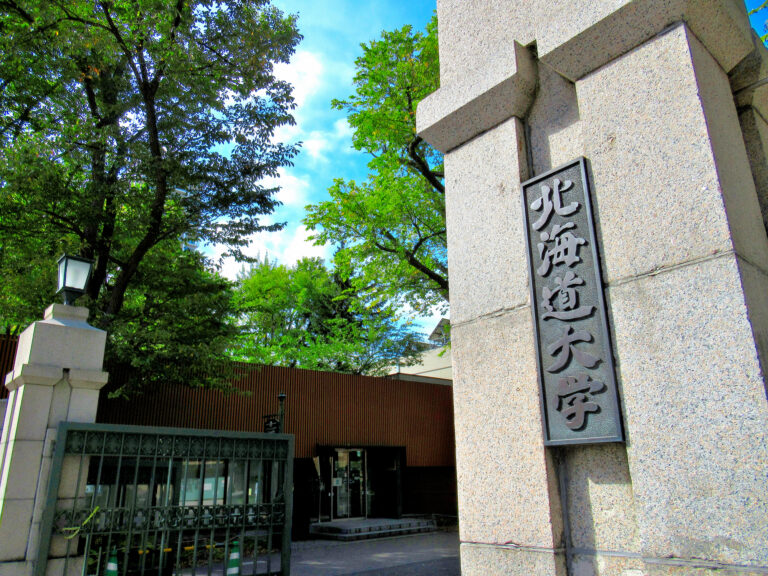 Stone entrance pillar of Hokkaido University engraved with a nameplate reading 北海道大学, beside a wrought-iron gate