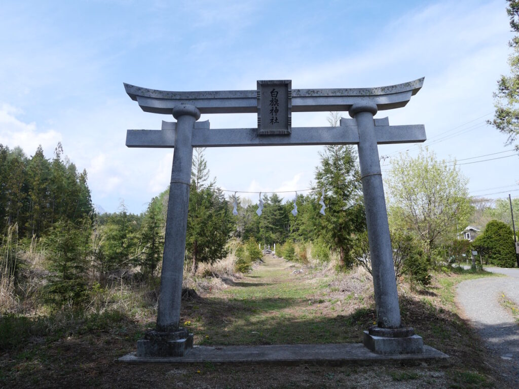 Weathered stone torii inscribed with the name Shirahata Shrine, opening onto a grassy forest path