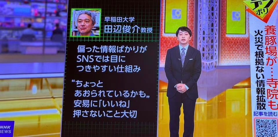 NHK news screen: an anchor beside a graphic quoting a Waseda professor on how skewed information spreads on social media
