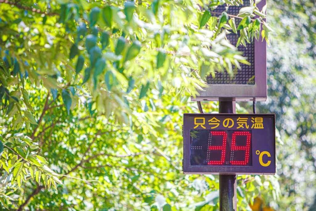Street-side electronic display reading 39°C under the Japanese label for current temperature, framed by sunlit leaves.
